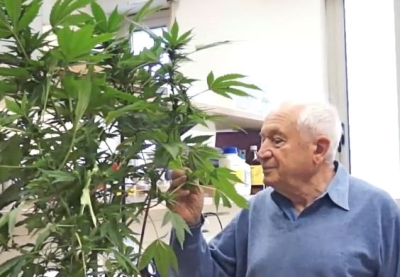 Raphael Mechoulam, the 'father of cannabis research' who discovered THC ...